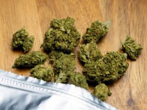 Cannatonic Cannabis Strain: The Ultimate High-CBD Hybrid for Therapeutic Relief