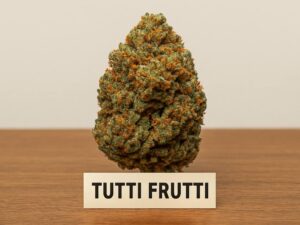 Tutti Frutti Cannabis – Flavorful Hybrid Strain