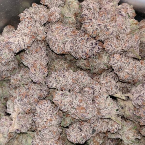 Blue Zkittlez Strain