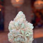 Cannalope Haze Strain