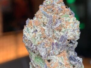 Candyland Weed Strain