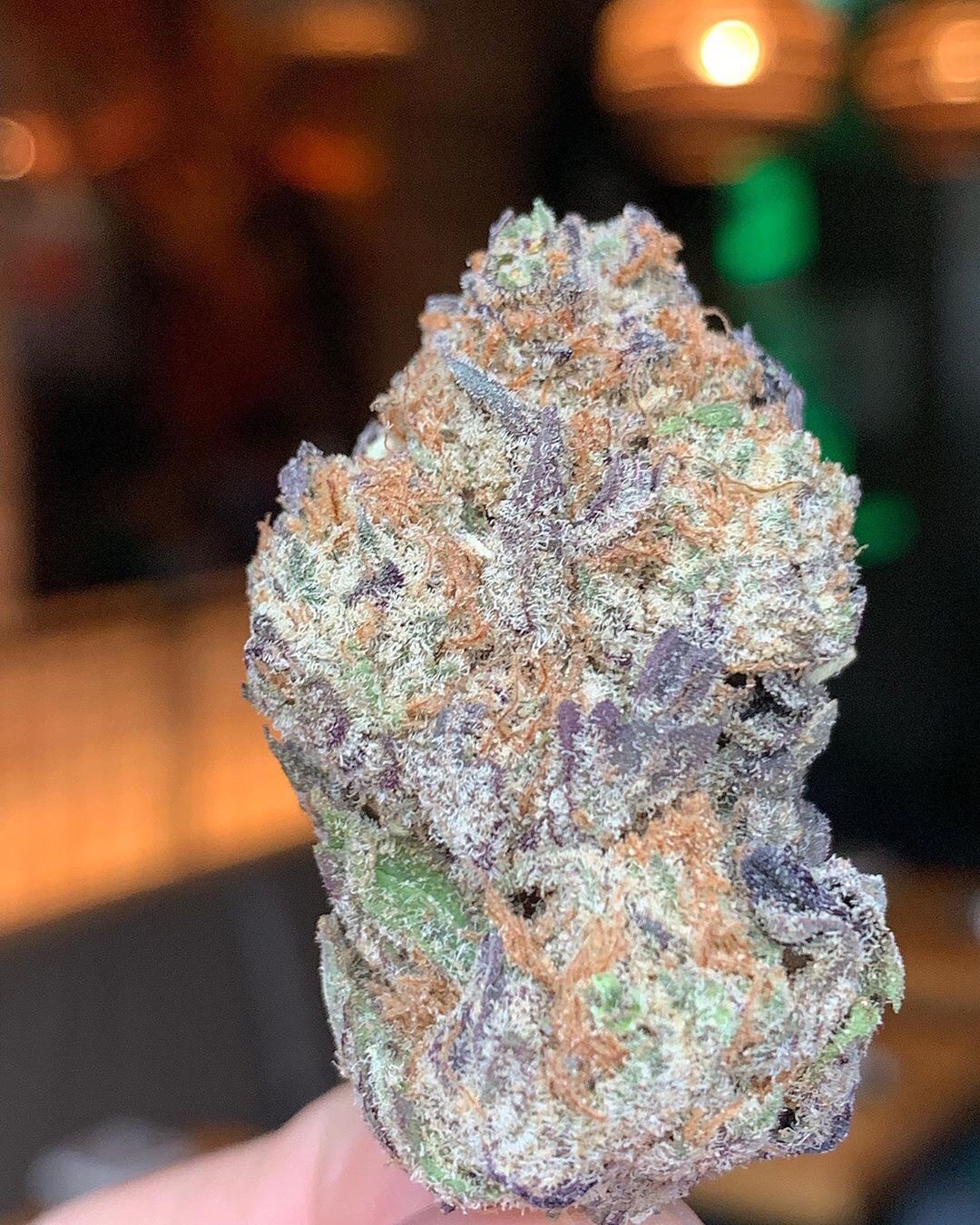 Candyland Weed Strain