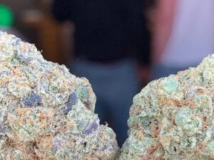 Chem Valley Kush Strain