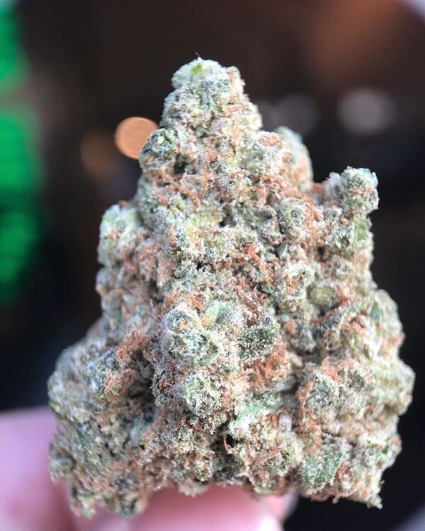Master Kush Strain