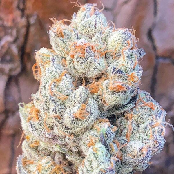 Berry White Strain