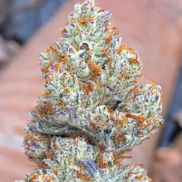 Green Crack Strain