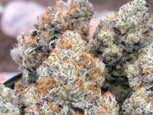 White Rhino Cannabis Strain