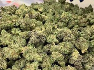 Purple Wreck Strain