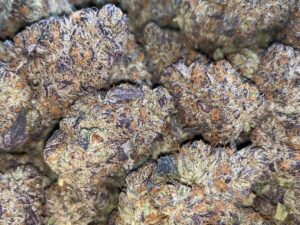 Gorilla Glue Strain