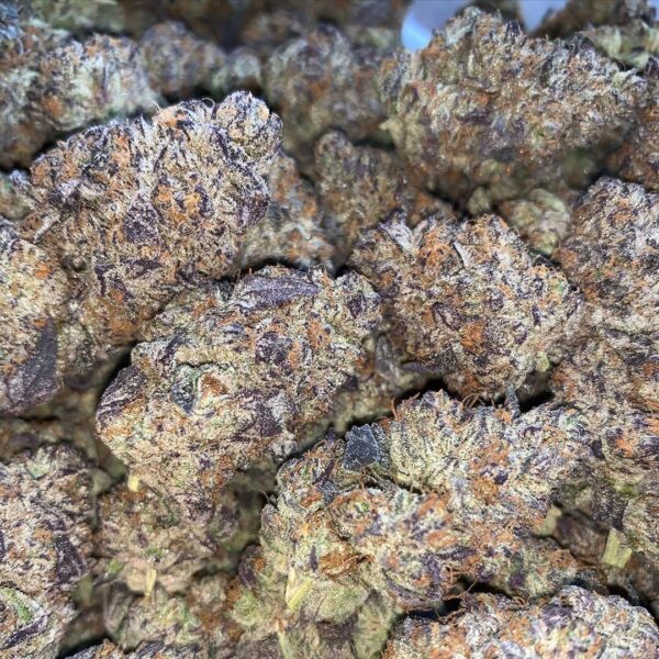 Gorilla Glue Strain