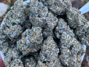 Grape Kush Strain