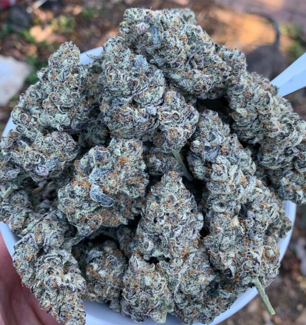 Grape Kush Strain