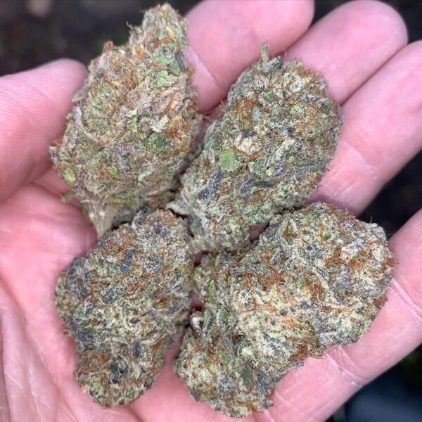 Death Star Strain
