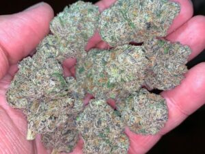 Blue Dream Strain