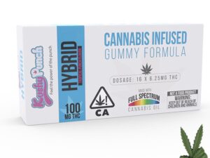 Kushy Punch Hybrid Edible