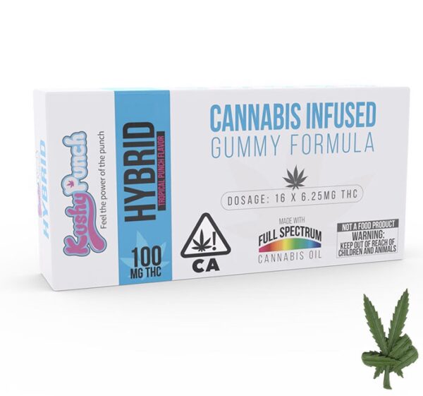 Kushy Punch Hybrid Edible