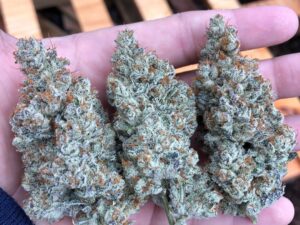 Ether Strain For Sale