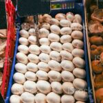 Buy Turkish Mushroom Chocolate